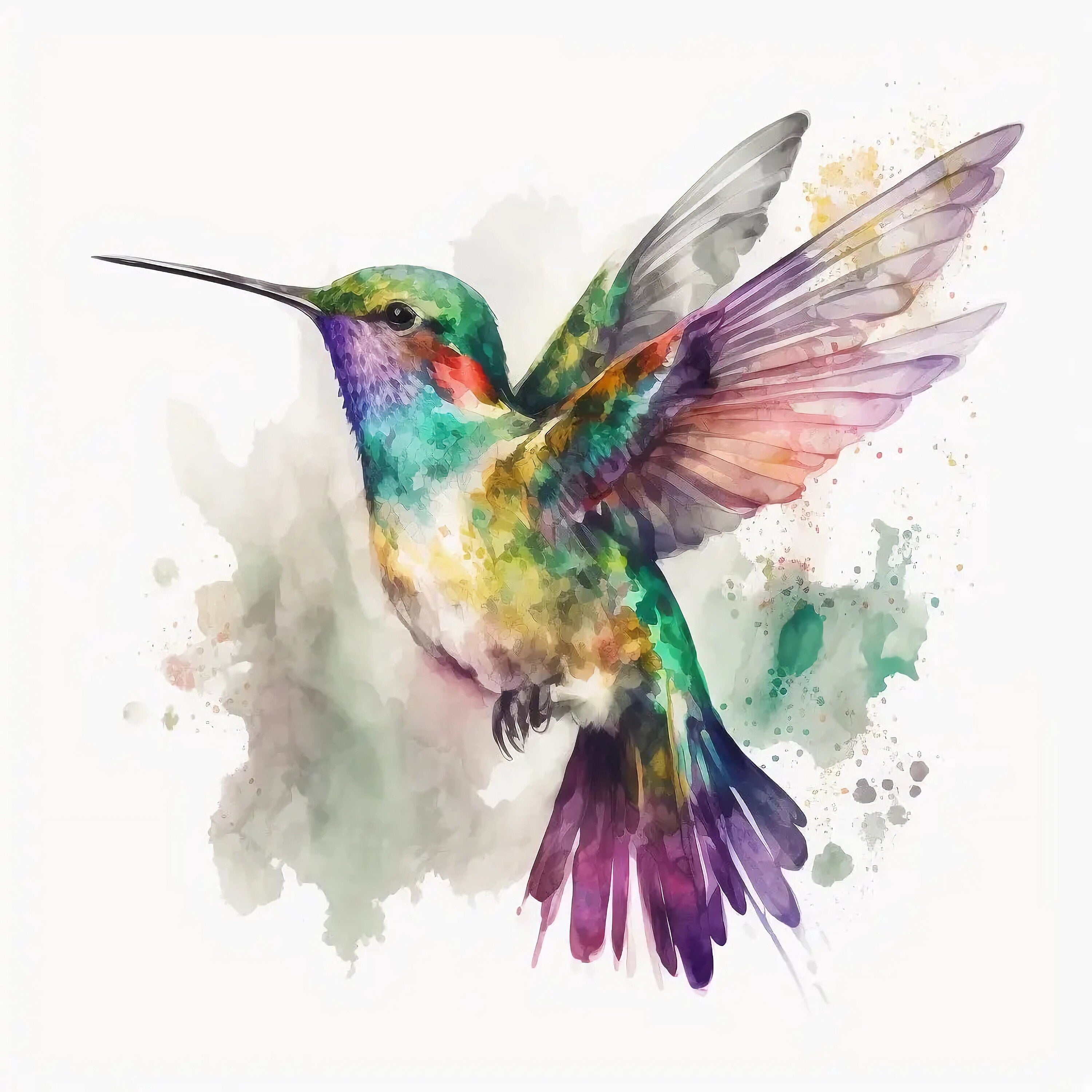 Water Color Bird Prints