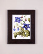 Classic Wall Prints