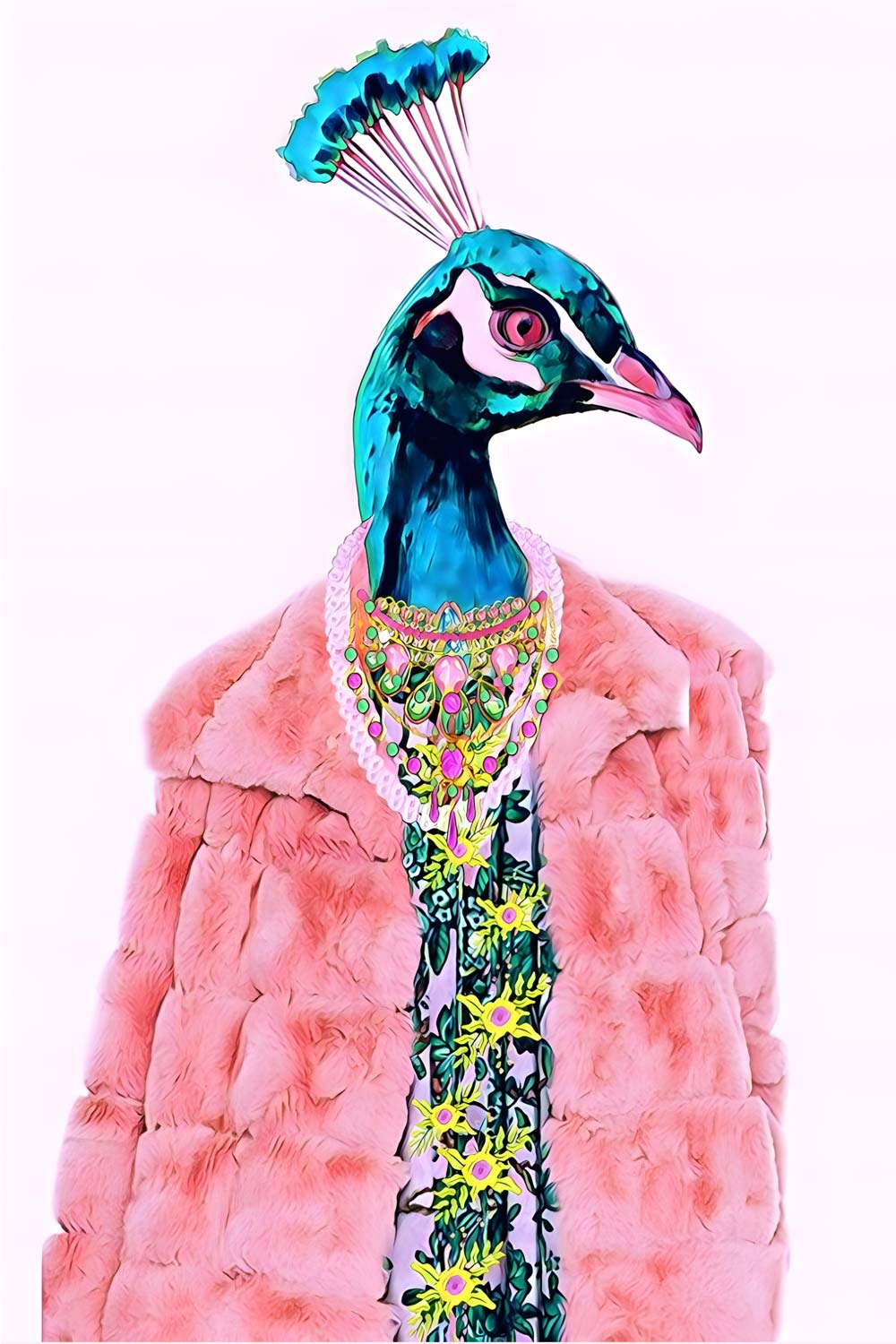 Peacock Fashion