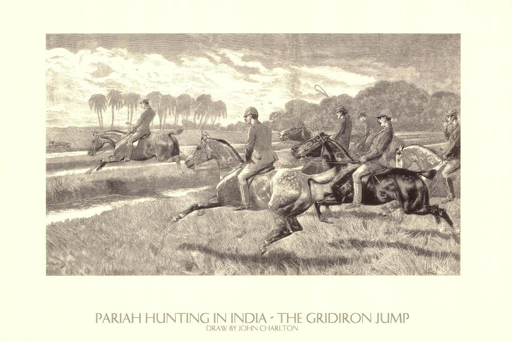 Pariah Hunting In India The Gridiron Jump