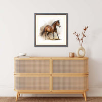 a-horse-with-interrupted-stripe-14