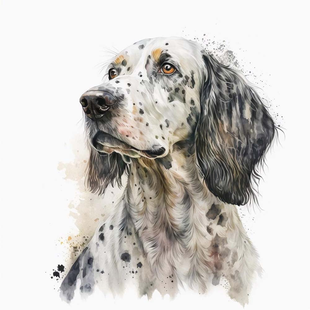 English Setter Dog Print