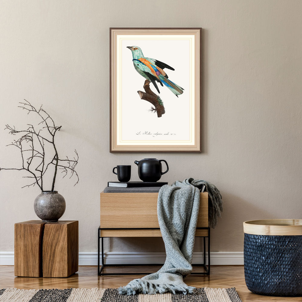 Abyssinian roller Bird