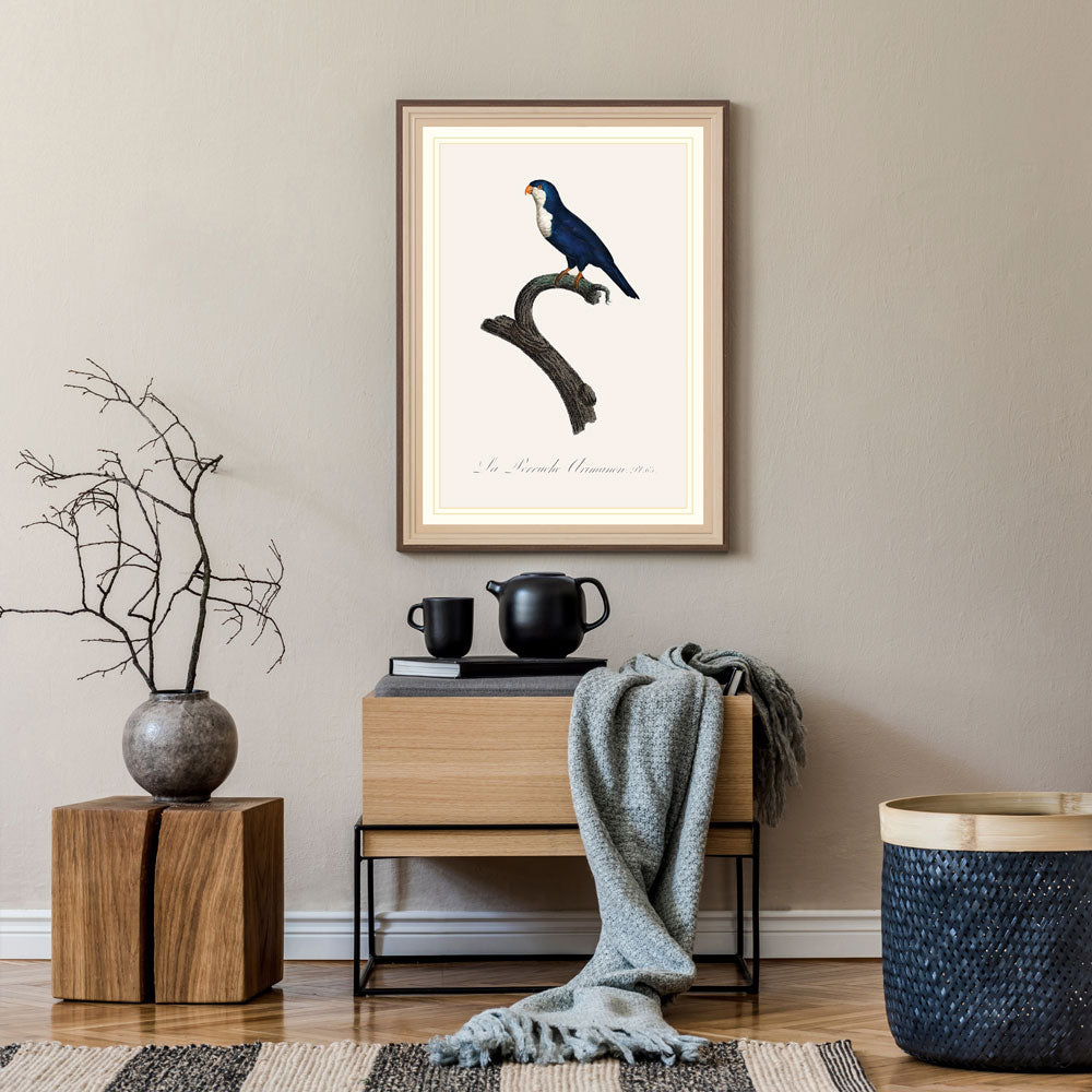 Arimanon Parakeet Bird