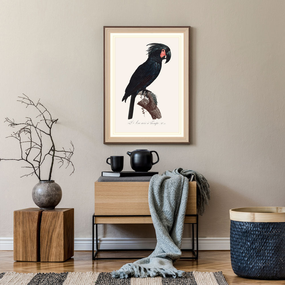 Goliath Cockatoo Bird