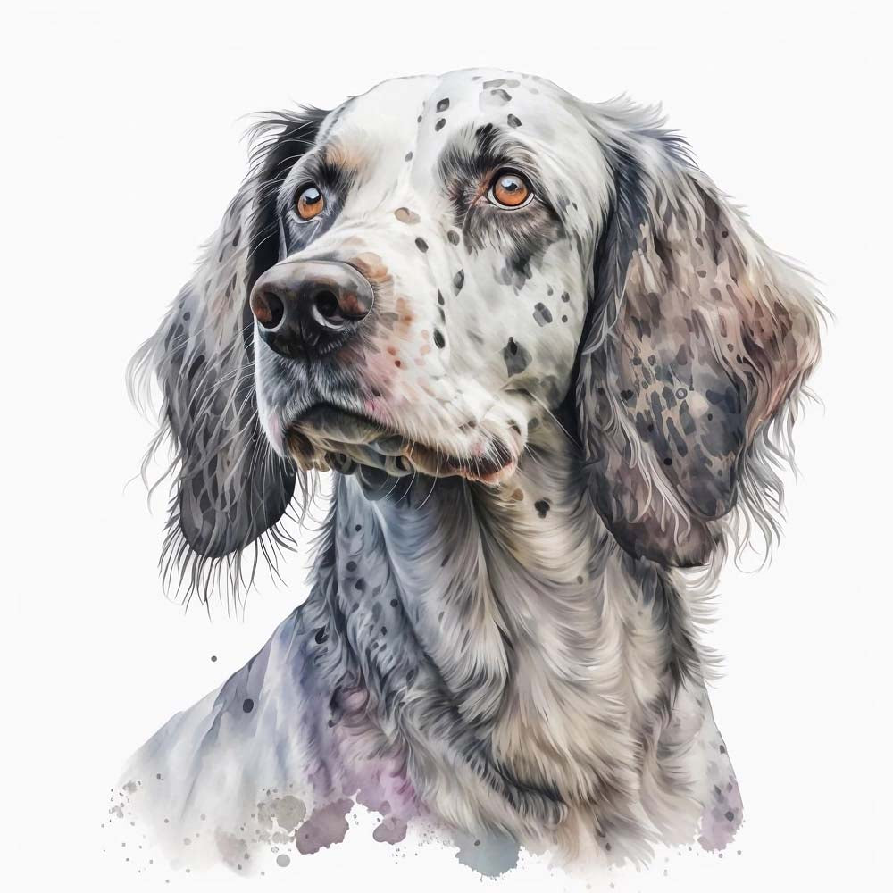 English Setter Dog Print