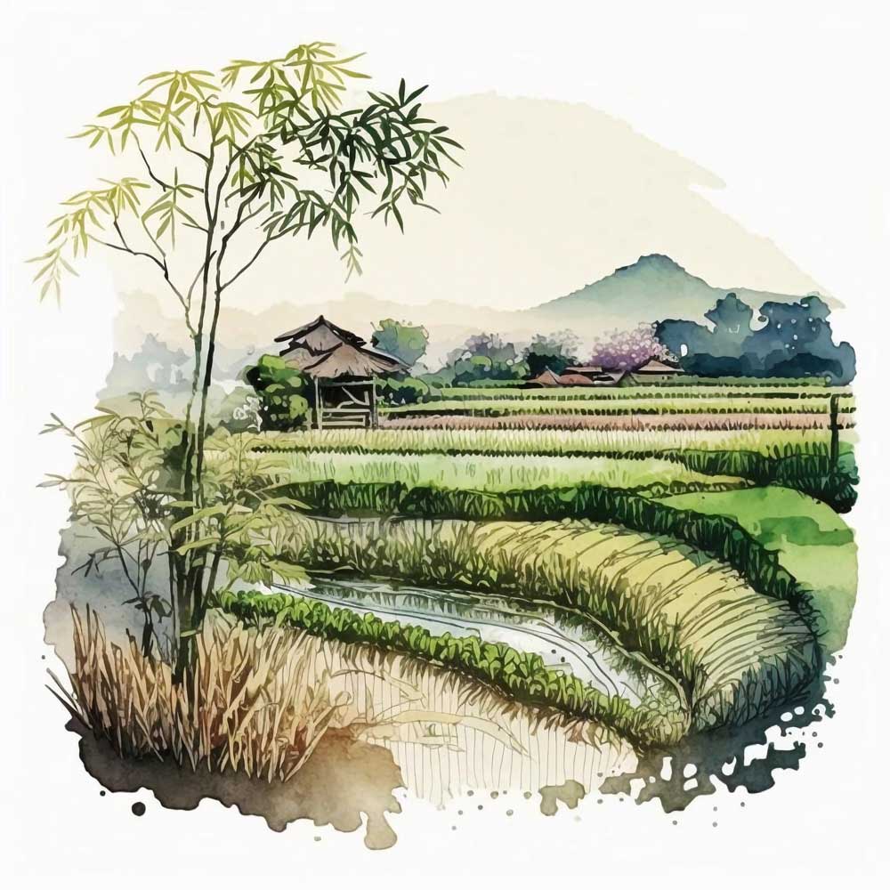Water Field