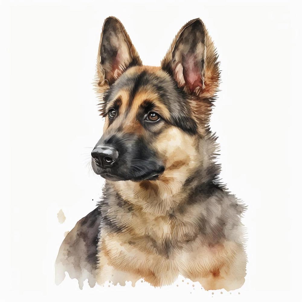 Water Color Dog