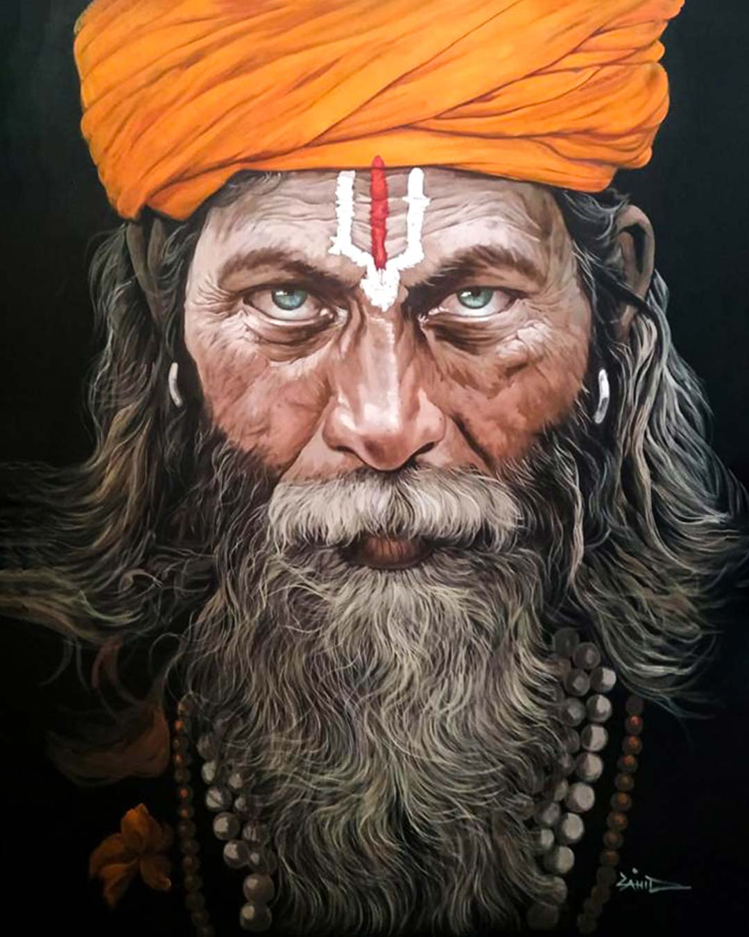 Sadhu XXIX