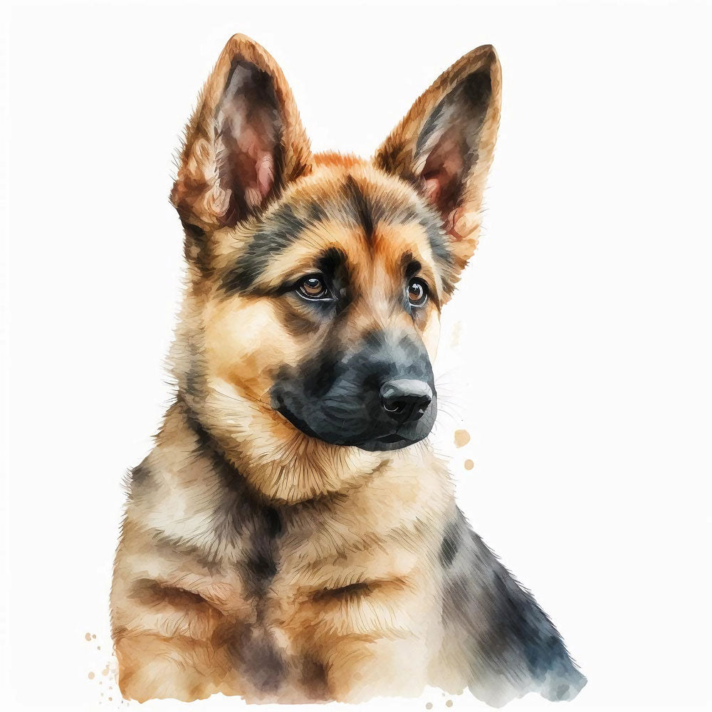 Water Color Dog
