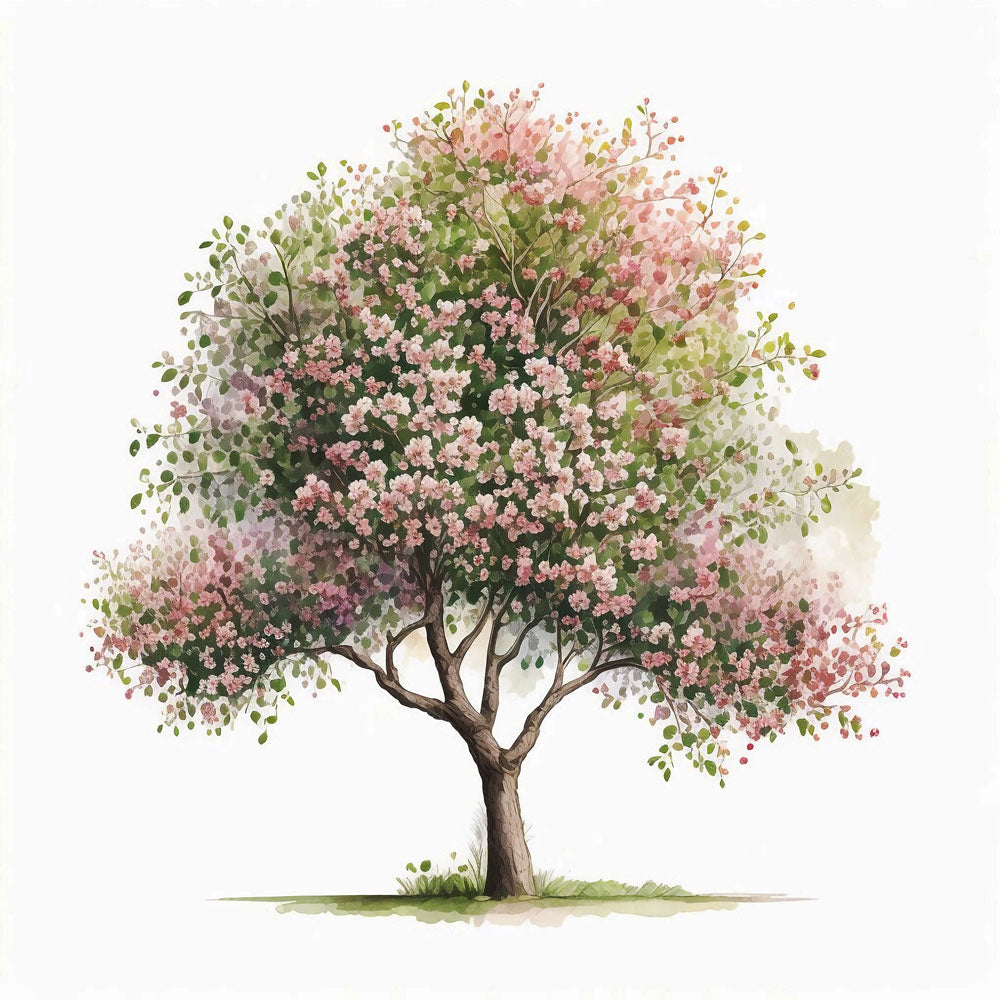 Apple tree in bloom Print