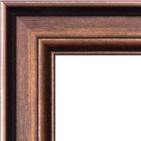 pinkish-brown-frame-without-mount-10116501