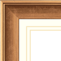 driftwood-frame-with-mount-10134201