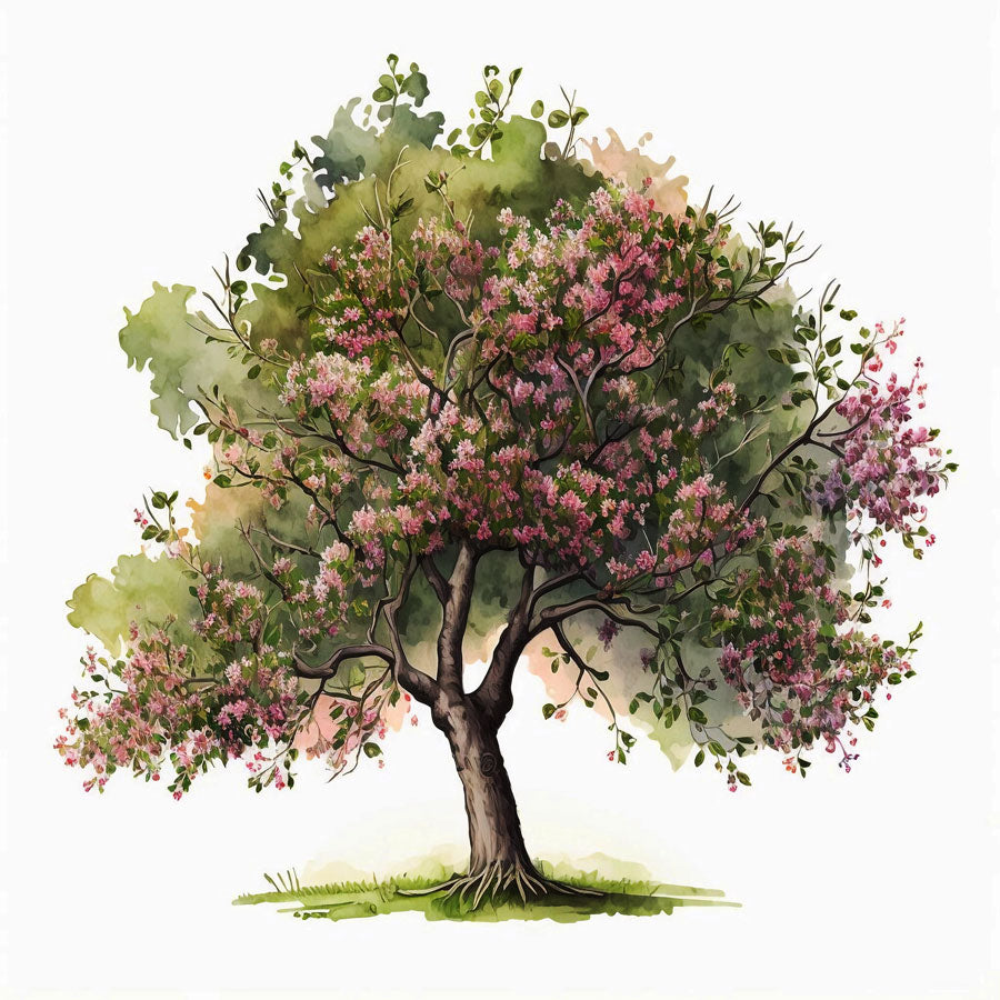 Apple tree in bloom Print