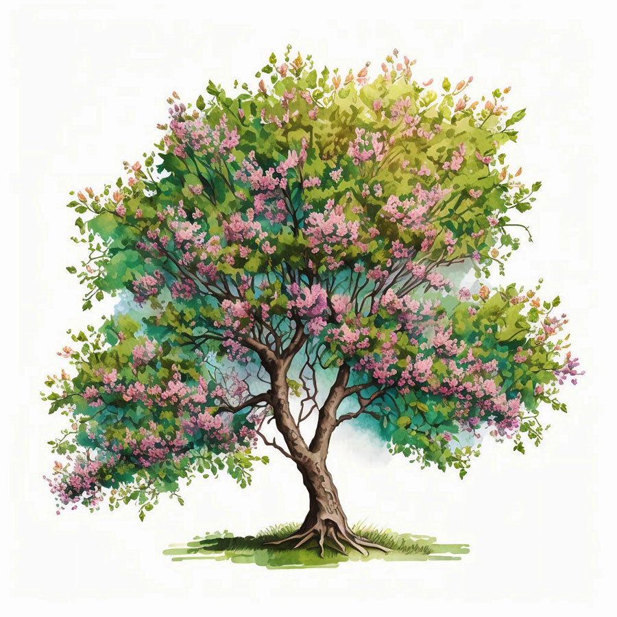 Apple tree in bloom Print