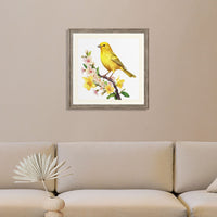 canary-bird-water-colour-painting