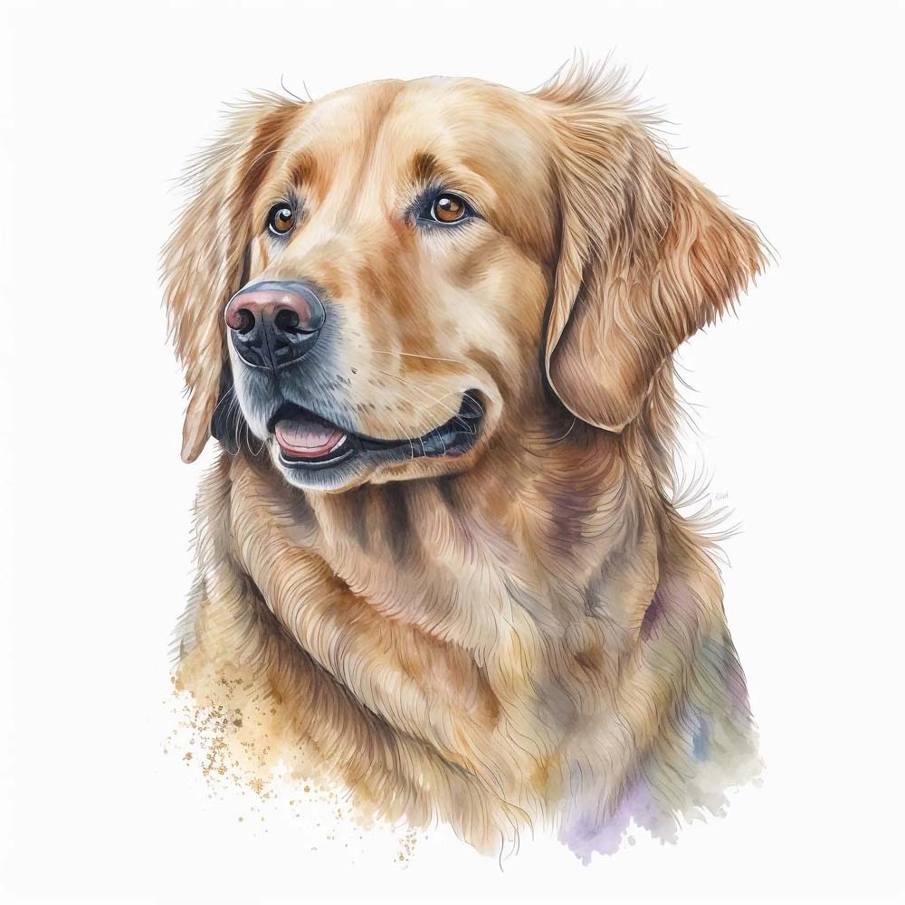 Golden Retriever Dog Print