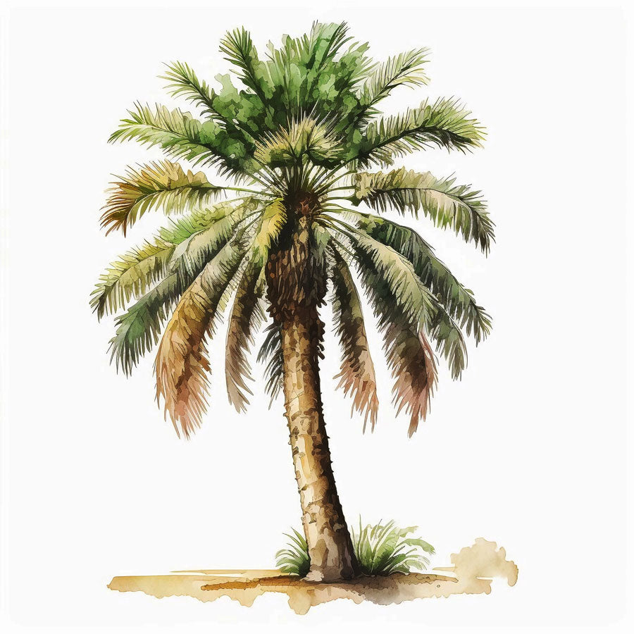 Palm Tree Print