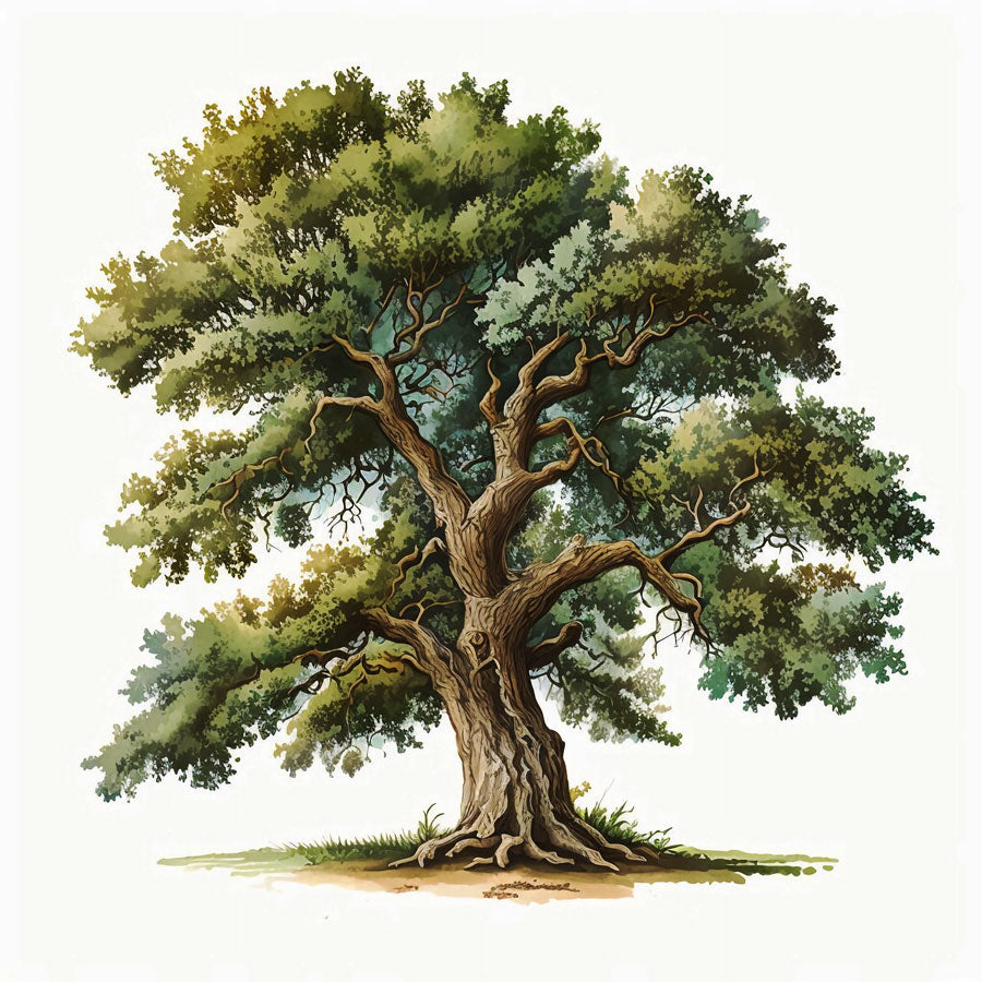 Majestic Oak Tree Print