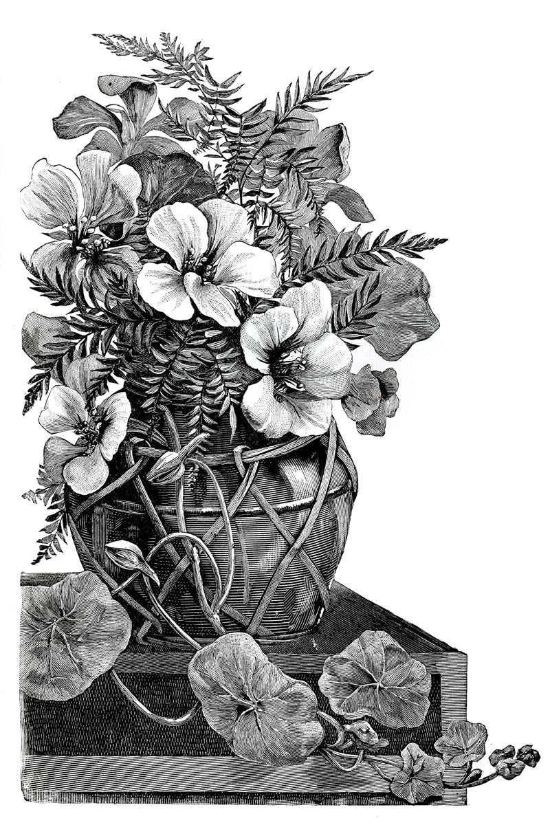 Victorian Black & White Botanical