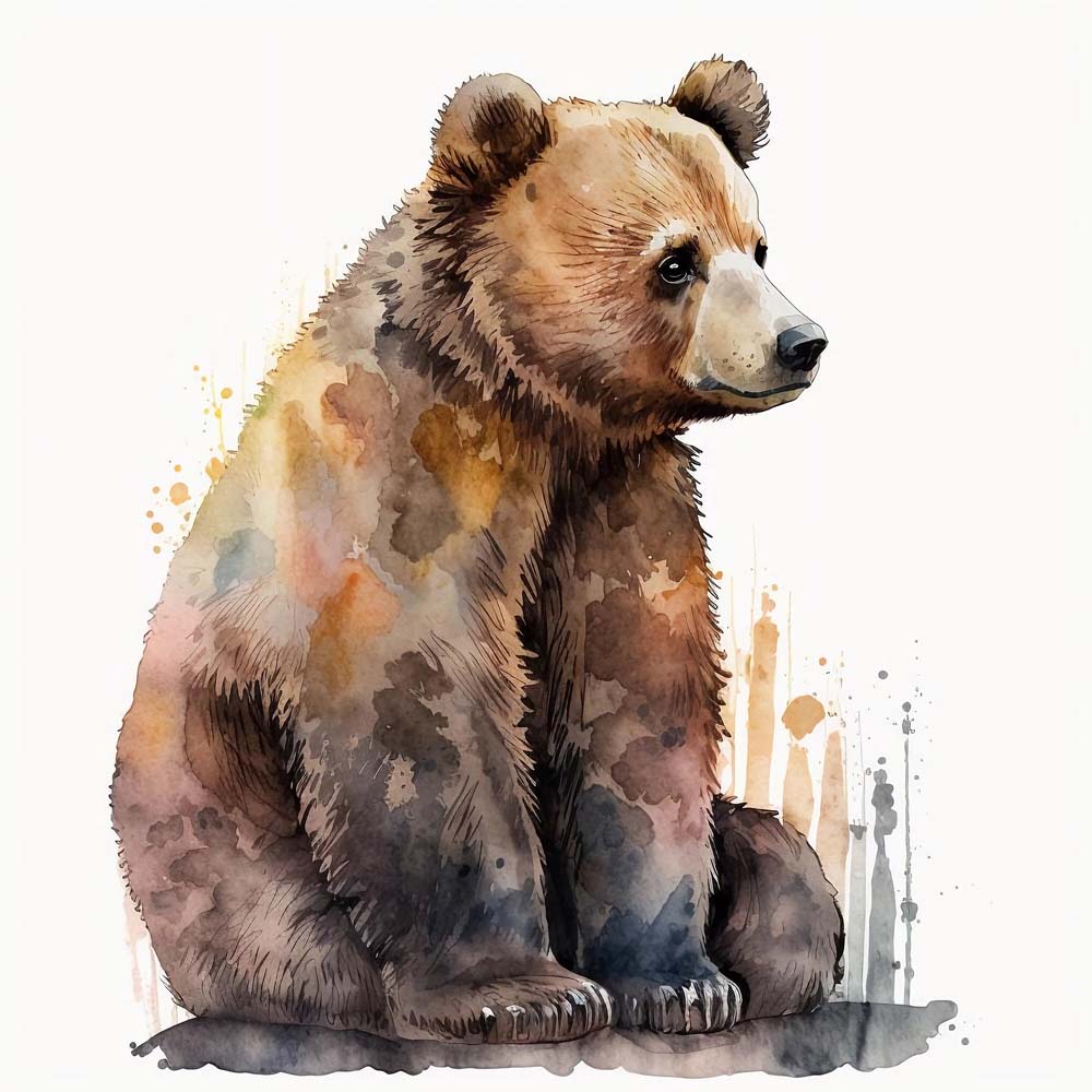 Grizzly Bear Print