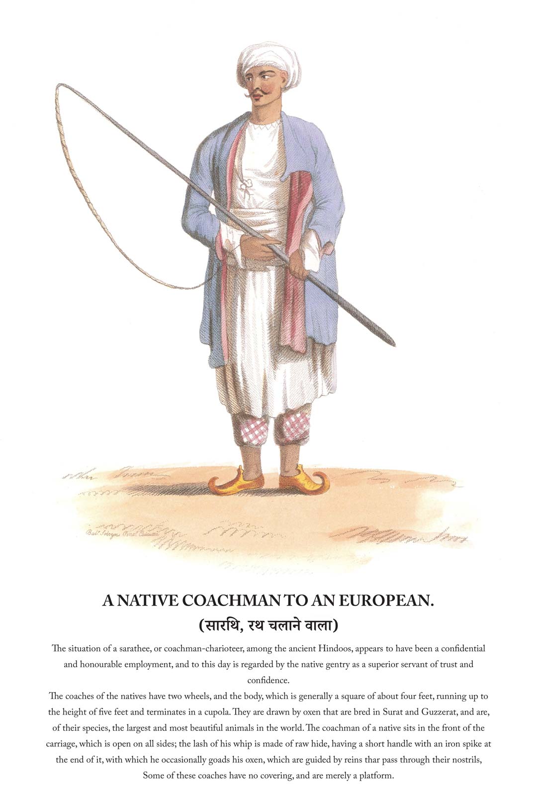 History Of The Indian Dresses : A Native Coachman To An European (सारथि, रथ चलाने वाला)