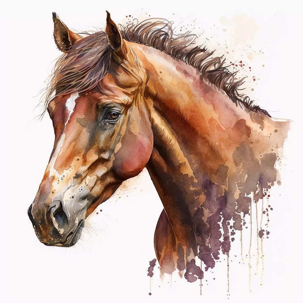 A Horse with Interrupted Stripe