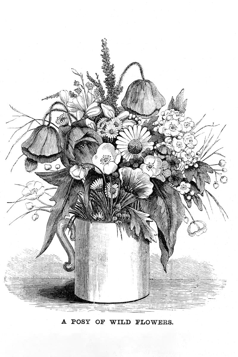 Victorian Black & White Botanical