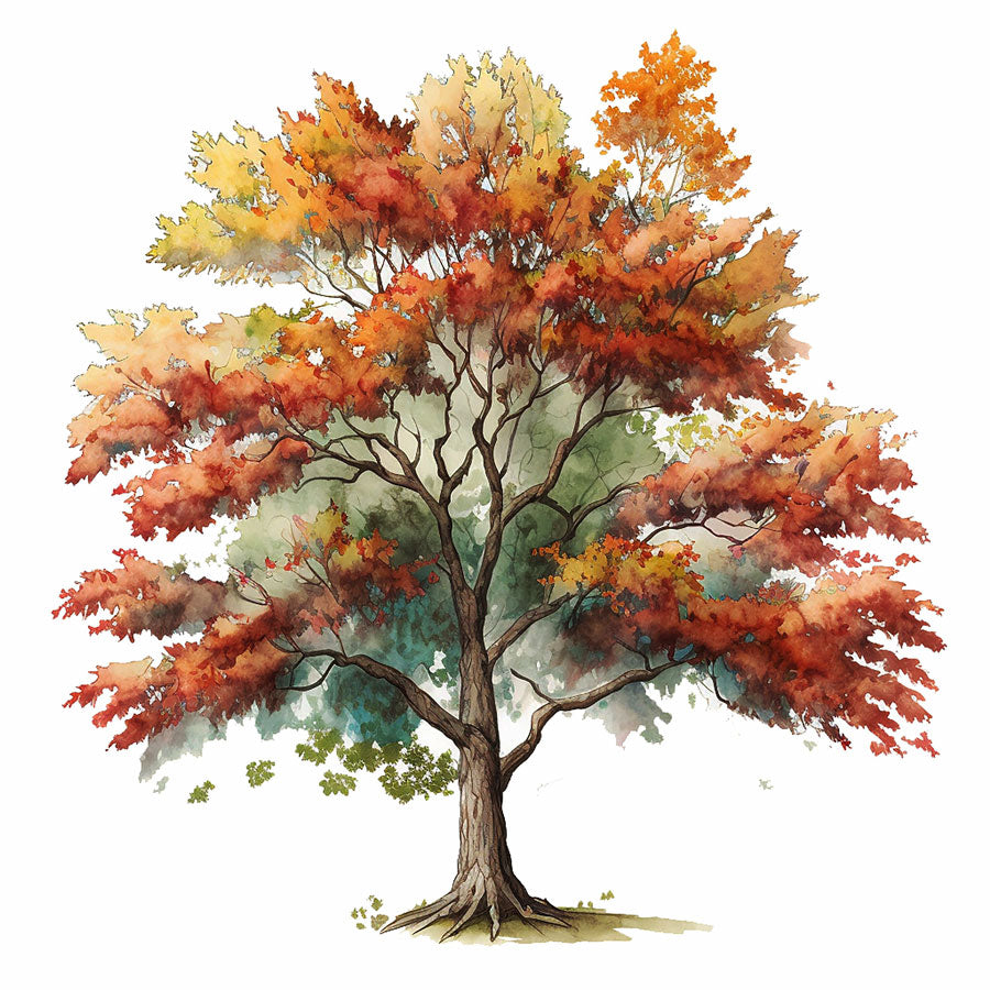 Autumn Tree Print