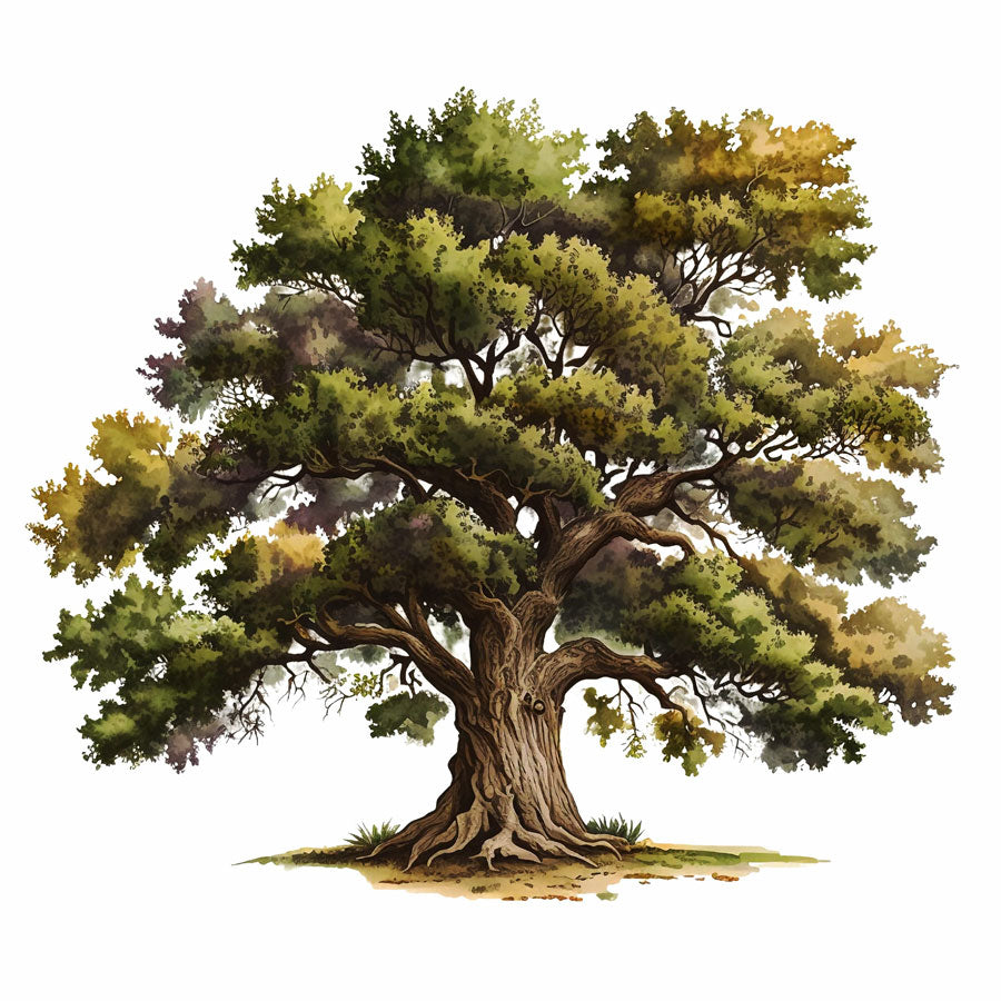 Majestic Oak Tree Print