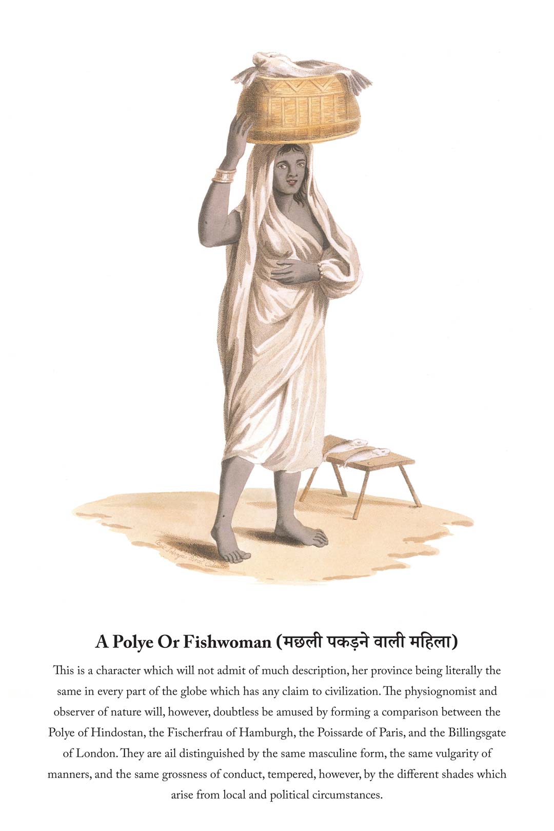 History Of The Indian Dresses : A Polye Or Fishwoman (मछली पकड़ने वाली महिला)