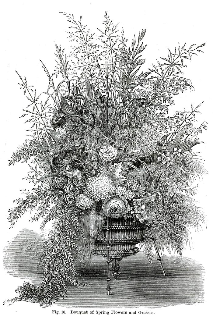 Victorian Black & White Botanical