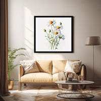 ox-eye-daisy-flower-1