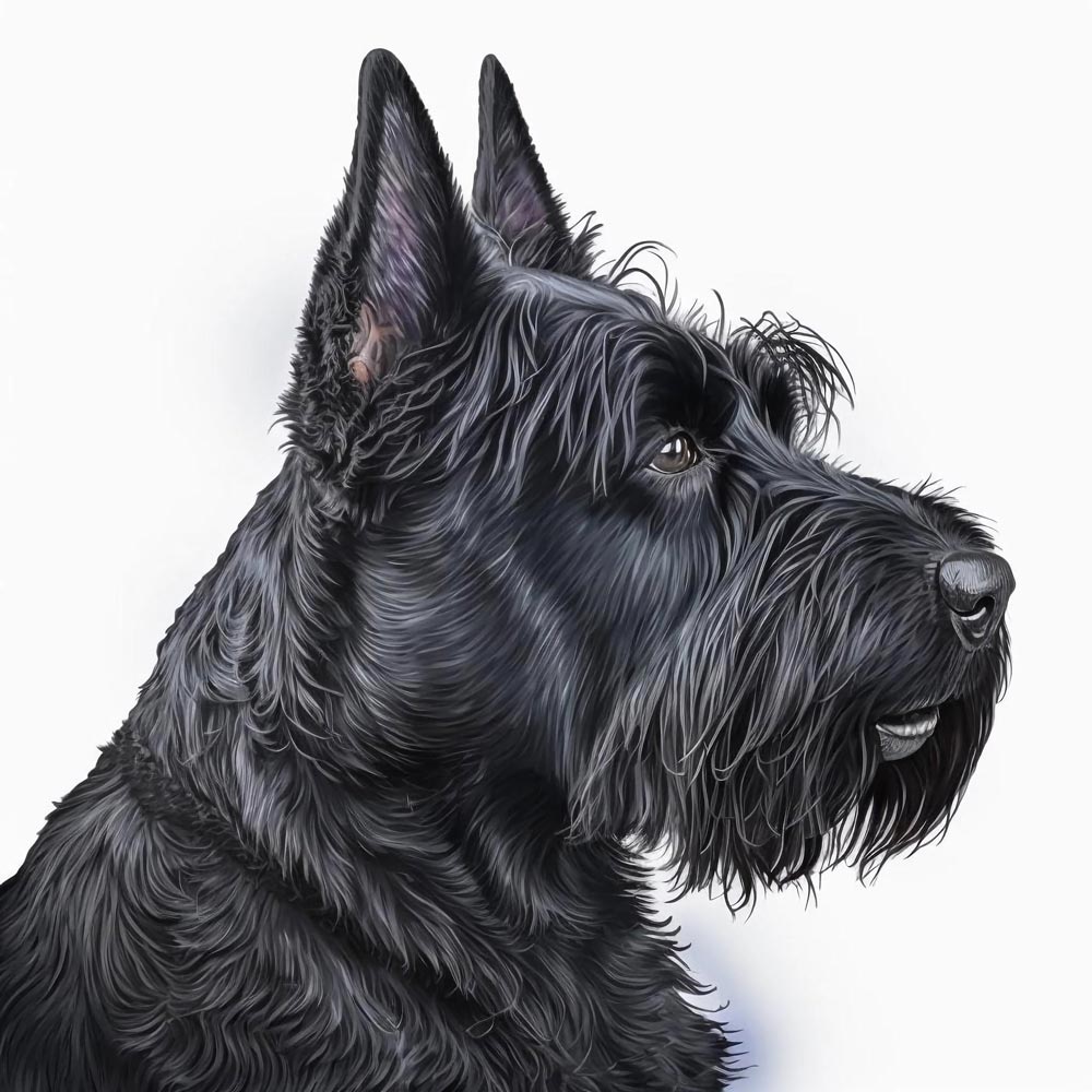 Tartan Tails: Capturing the Spirit of Scottish Terriers