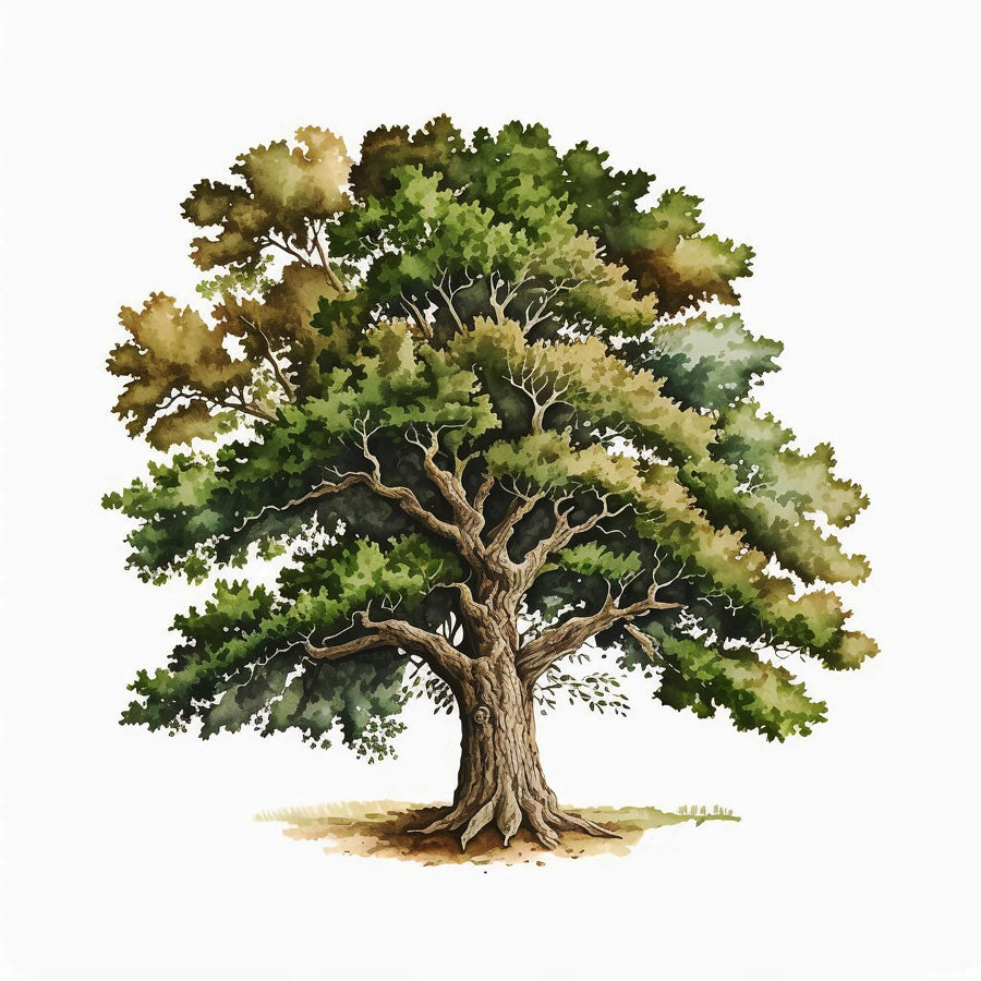 Majestic Oak Tree Print