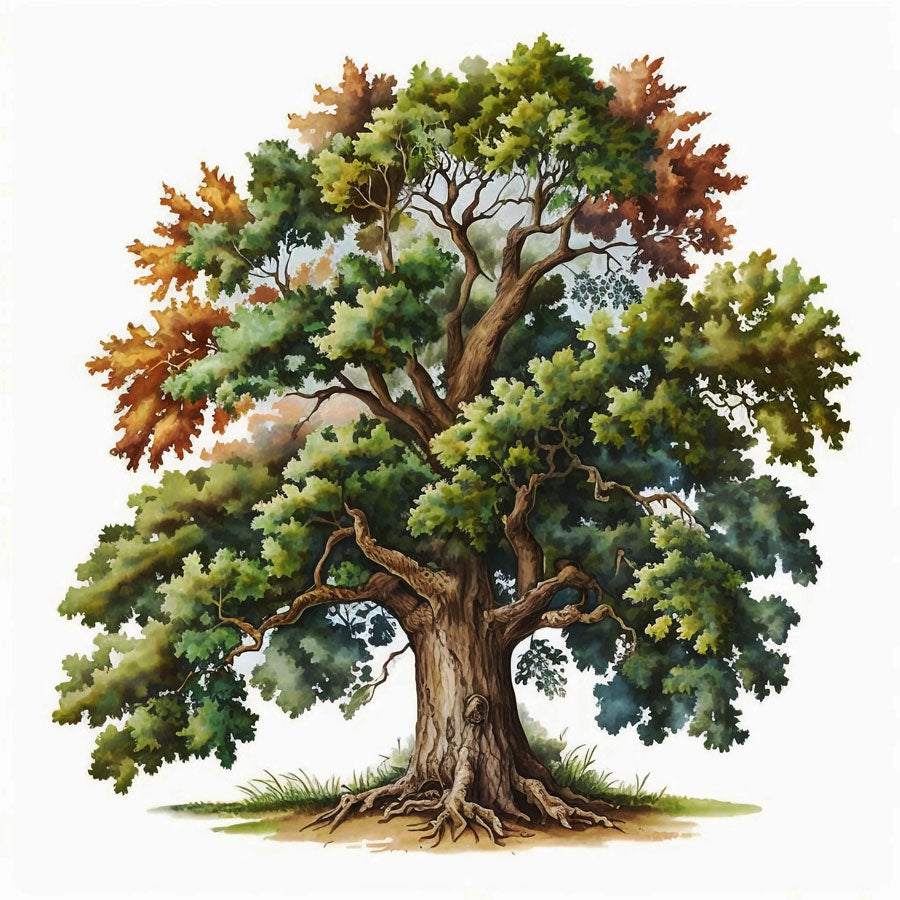 Majestic Oak Tree Print