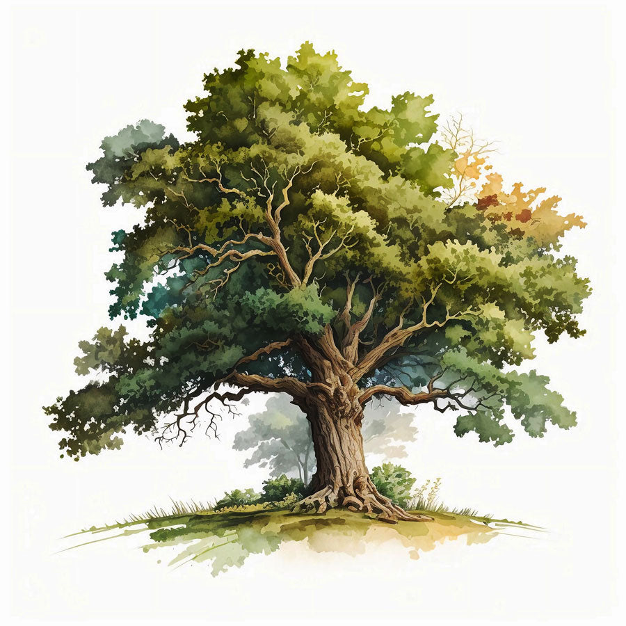 Majestic Oak Tree Print