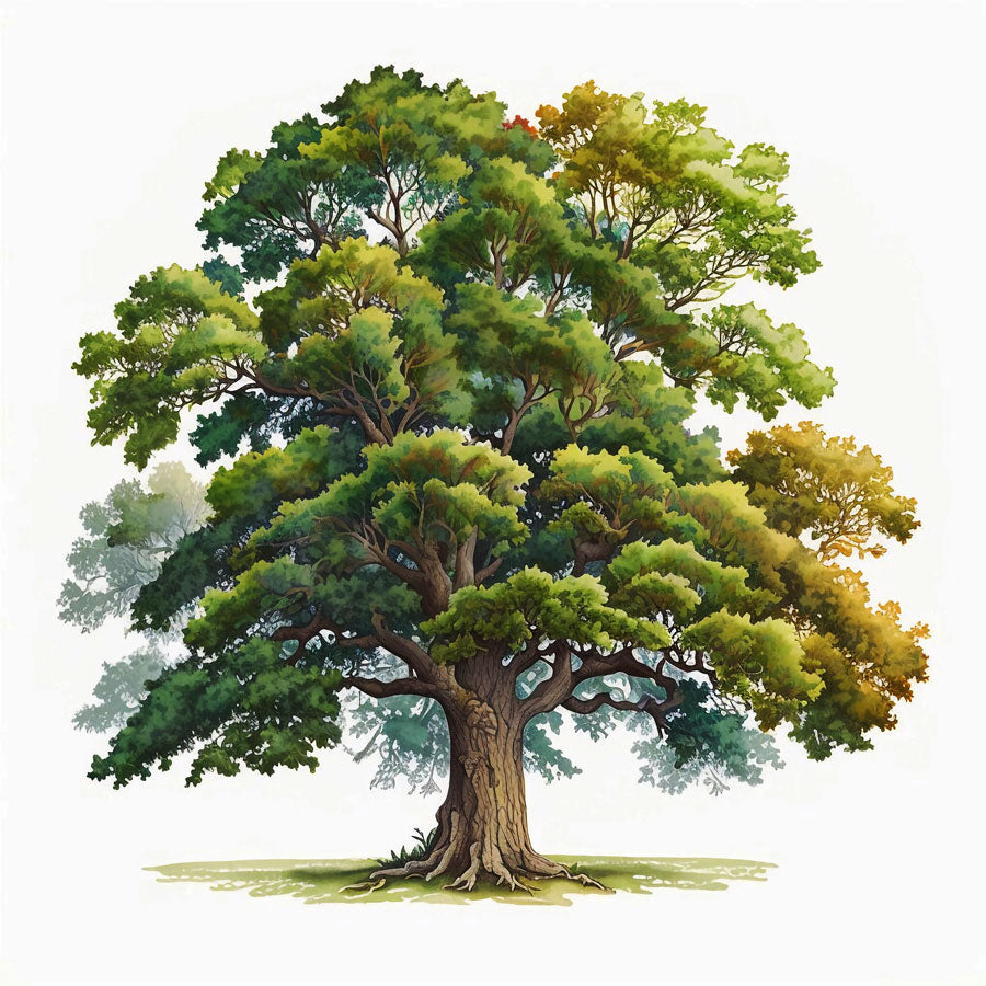 Majestic Oak Tree Print