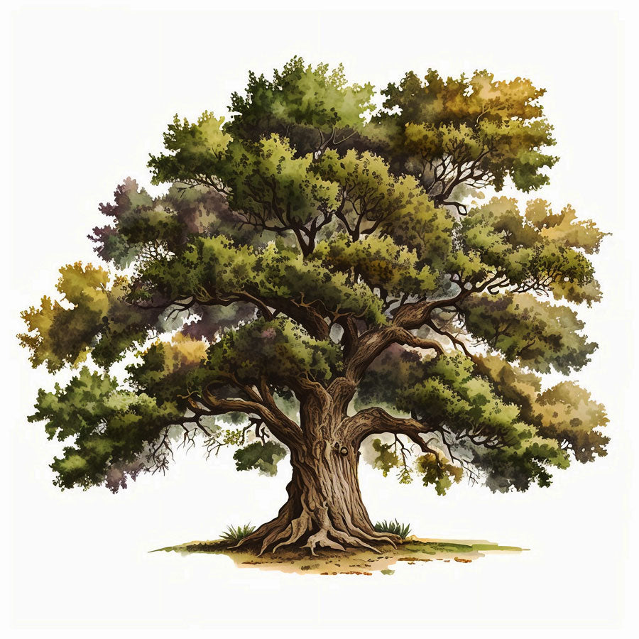 Majestic Oak Tree Print