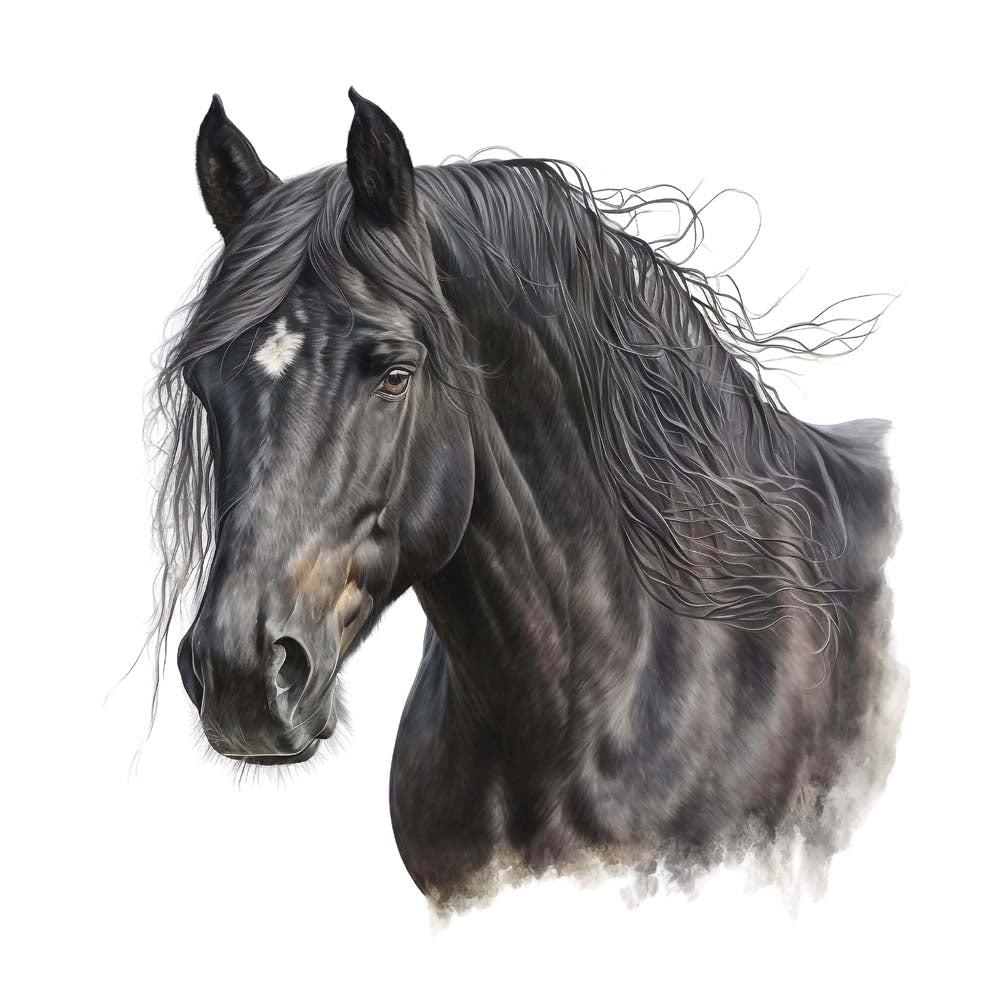 A Horse with Interrupted Stripe