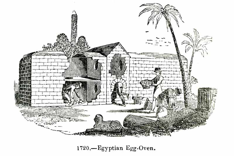 Egyptian Egg Oven - Daily Life Scenes