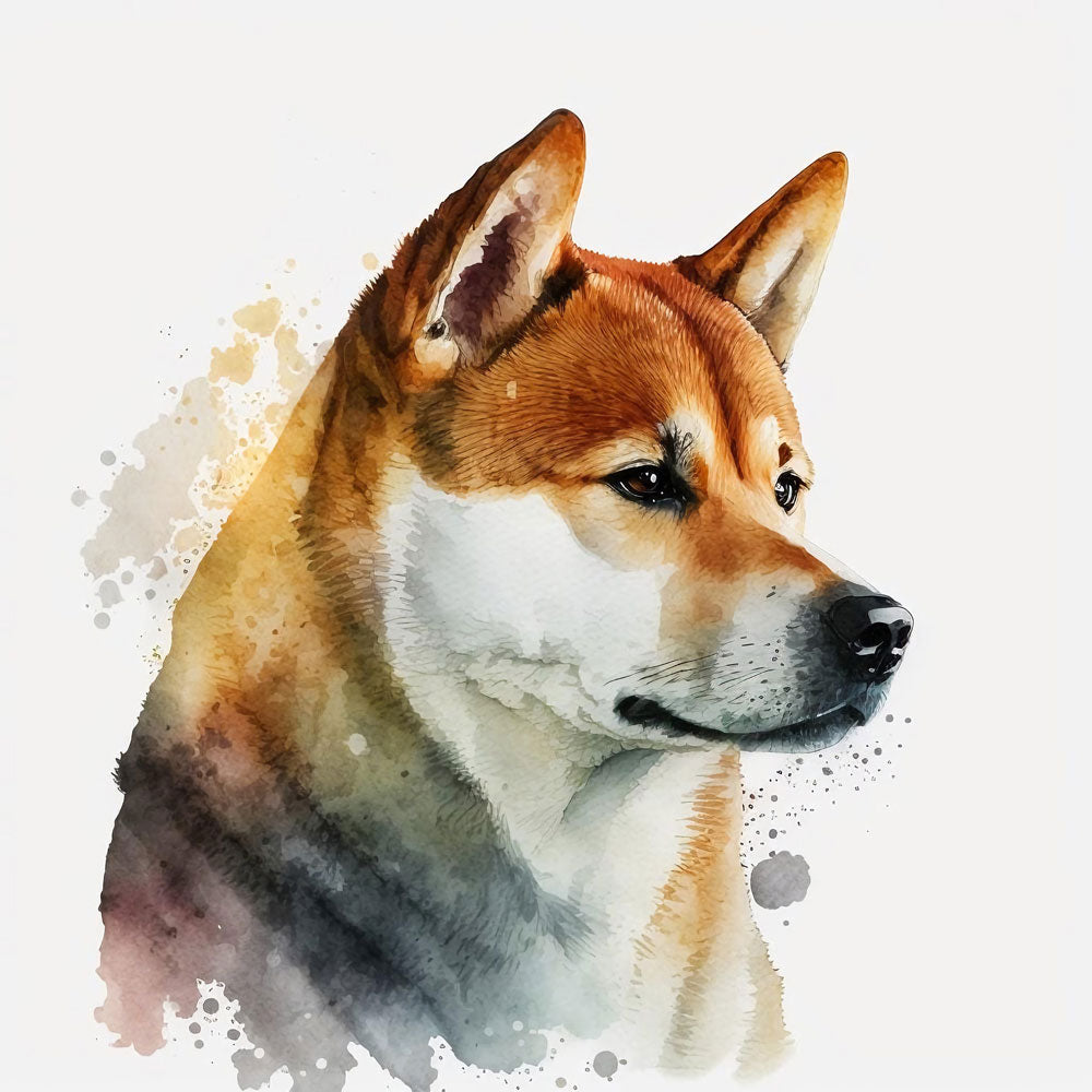 Simplicity and Spirit: Shiba Inu Dogs in Artistic Splendor