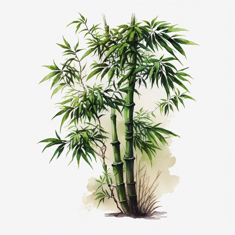 Bamboo Tree Print