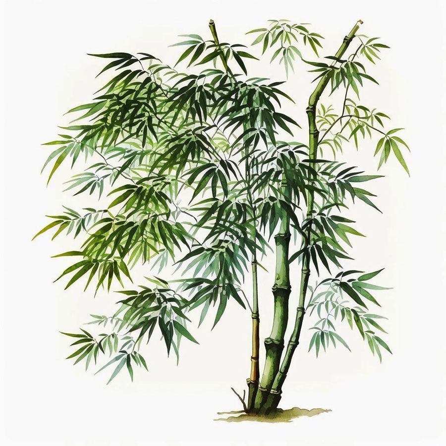 Bamboo Tree Print