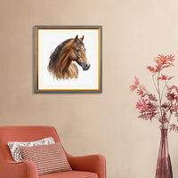 a-horse-with-interrupted-stripe-9