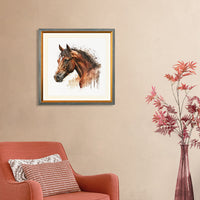 a-horse-with-interrupted-stripe-10