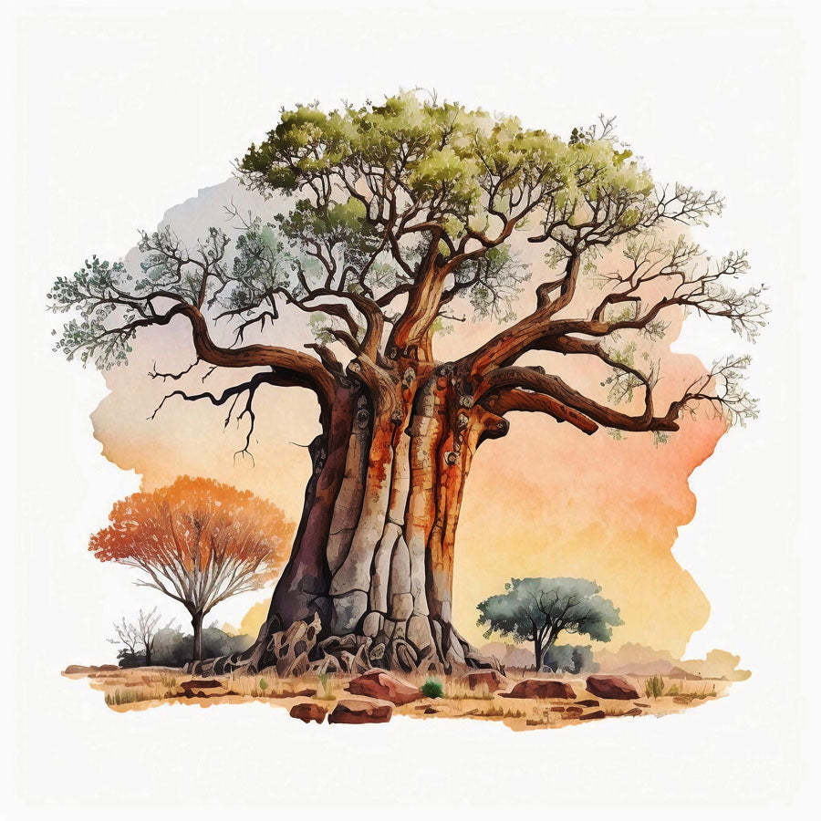 Baobab Tree Print