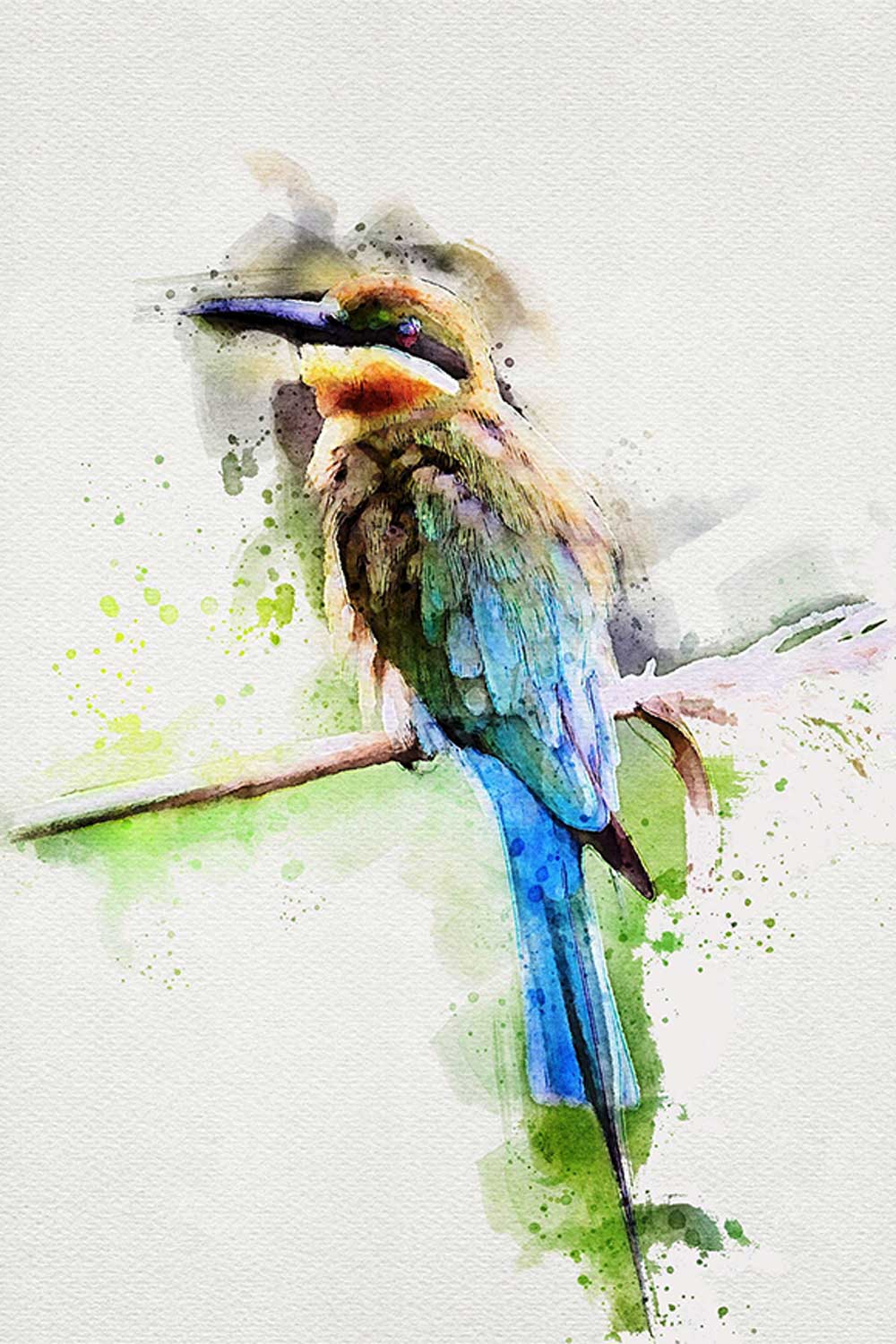 Bee Eater Bird