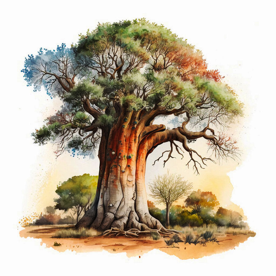 Baobab Tree Print