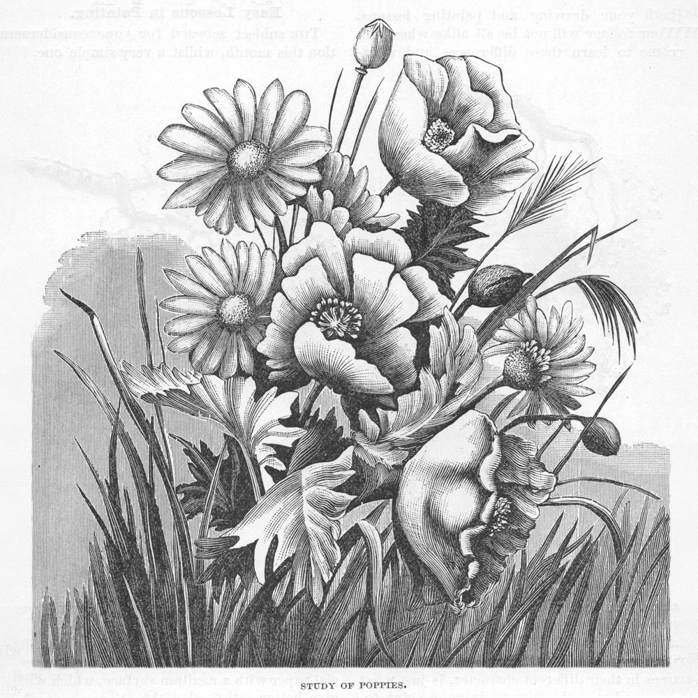 Victorian Black & White Botanical